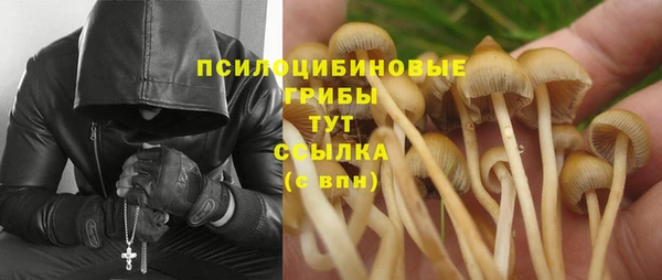 дмт Покровск