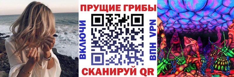 где найти наркотики  Лангепас  Псилоцибиновые грибы Psilocybine cubensis 