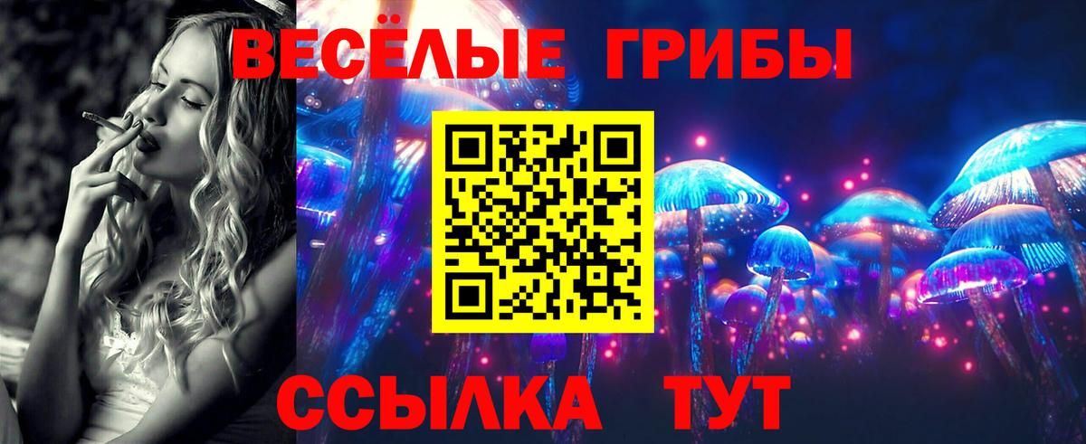 Лангепас  Псилоцибиновые грибы Psilocybe  Вход с VPN 