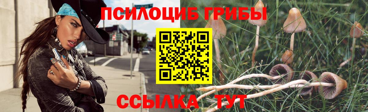 Псилоцибиновые грибы Psilocybine cubensis Лангепас